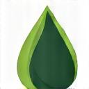 Leaf and oil drop icon